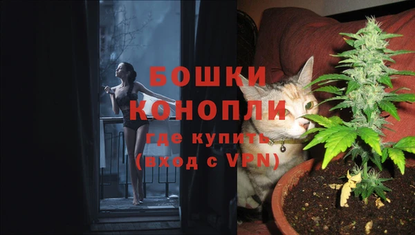 a pvp Богородск