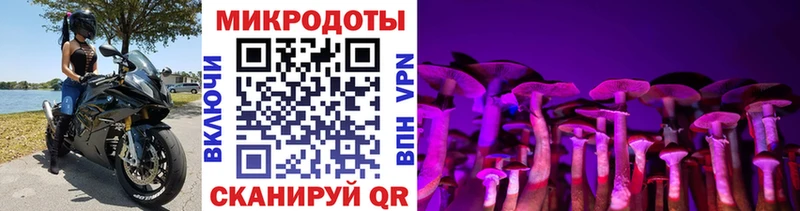 дарнет шоп  ОМГ ОМГ как зайти  Псилоцибиновые грибы Cubensis  Балашиха 