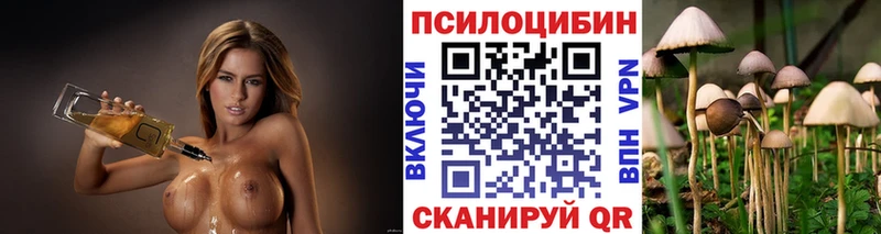 Галлюциногенные грибы мухоморы Балашиха